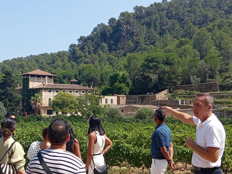 Private tour in Mallorca: wine tasting.