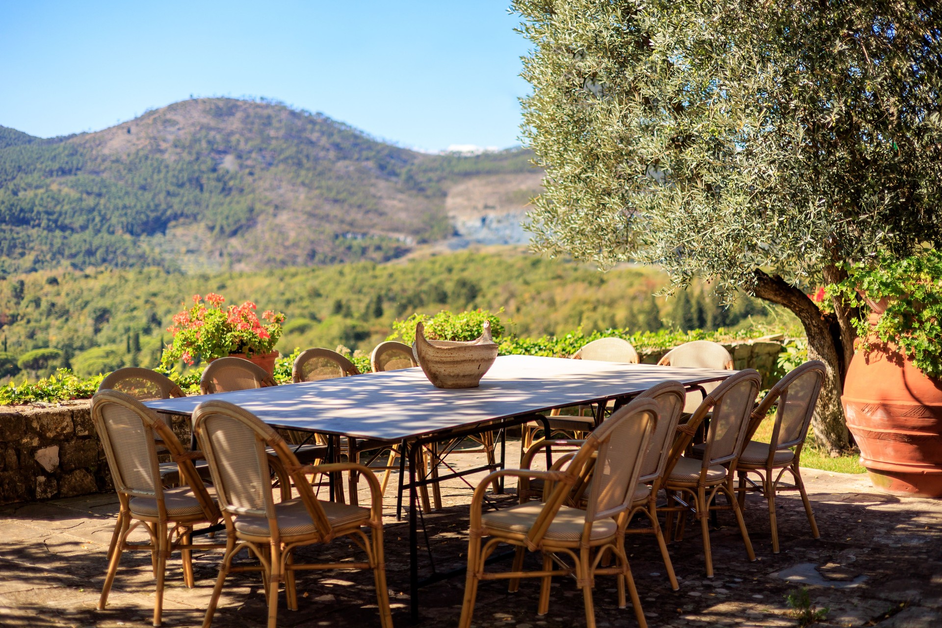 Luxury dinner table in the garden